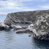 Image related to Kidney Cove