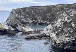 IgluCruise.Application.ViewModels.Shared.WebImageViewModel?.Description