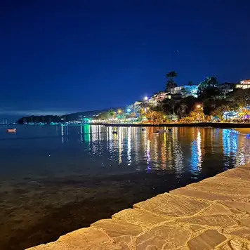 Image related to Orla Bardot