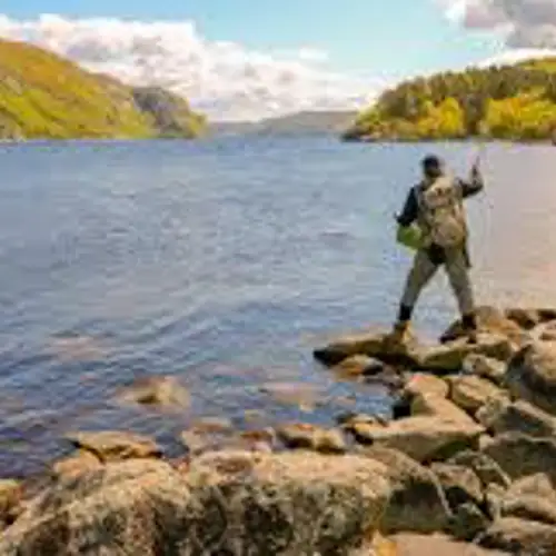 Image related to Go salmon fishing