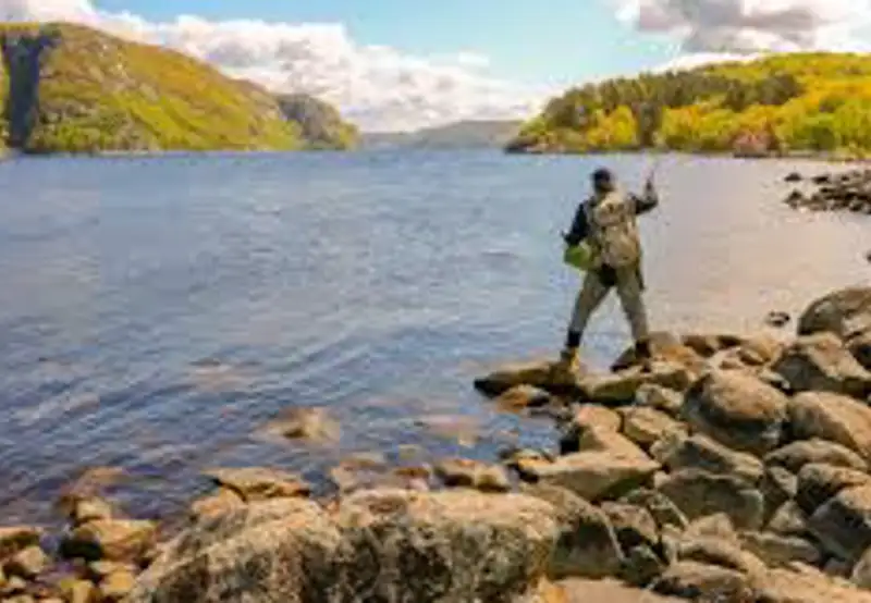 Go salmon fishing