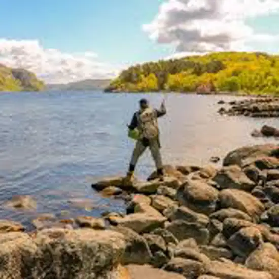 Image related to Go salmon fishing
