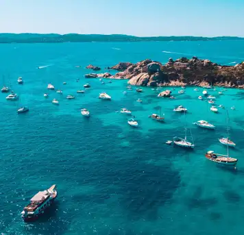 Image related to Boat Tours