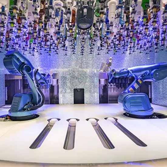 Image related to Robo Bar