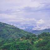 Image related to Doi Mae Salong