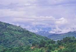 IgluCruise.Application.ViewModels.Shared.WebImageViewModel?.Description