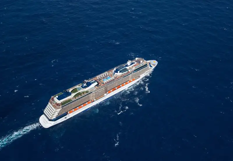Celebrity Reflection