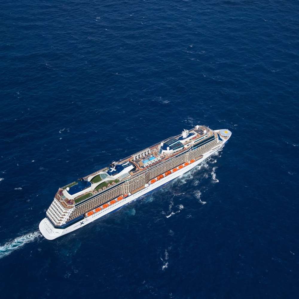 Celebrity Reflection