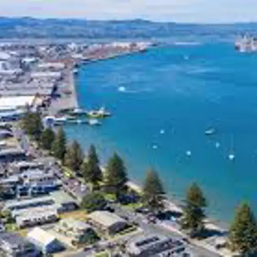 Image related to Tauranga for Rotorua