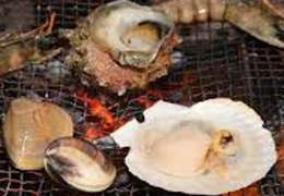 IgluCruise.Application.ViewModels.Shared.WebImageViewModel?.Description