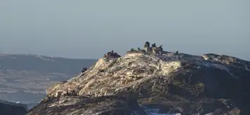 Image related to Luderitz