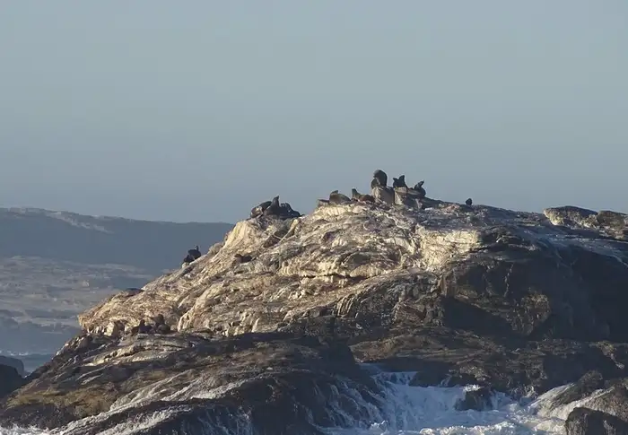 Photo of Day 22: Luderitz