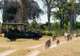 Okavango Delta, Botswana- Game Drives