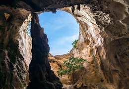 IgluCruise.Application.ViewModels.Shared.WebImageViewModel?.Description