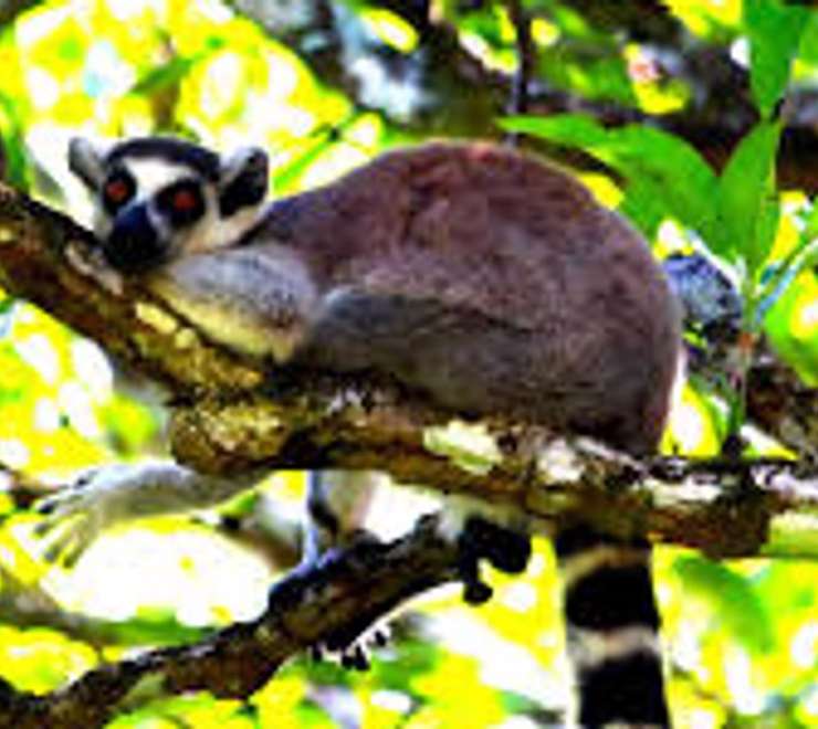 Visit Nahampoana Reserve