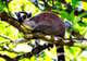Visit Nahampoana Reserve