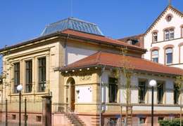 IgluCruise.Application.ViewModels.Shared.WebImageViewModel?.Description