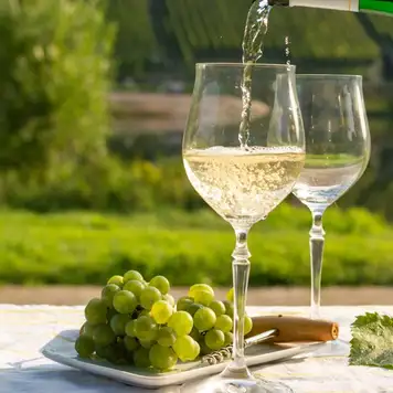 Image related to Wine Tasting and Winery Tours