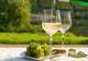 Wine Tasting and Winery Tours
