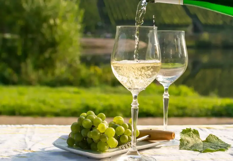 Wine Tasting and Winery Tours