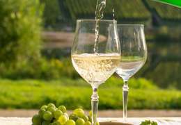 IgluCruise.Application.ViewModels.Shared.WebImageViewModel?.Description