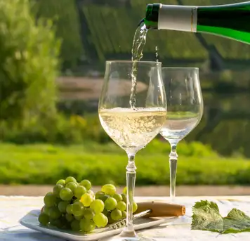 Image related to Wine Tasting and Winery Tours