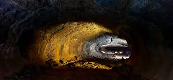 Image related to Highlands Tortoise Reserves