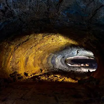 Image related to Highlands Tortoise Reserves