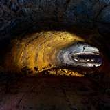 Image related to Highlands Tortoise Reserves