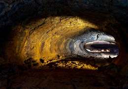 IgluCruise.Application.ViewModels.Shared.WebImageViewModel?.Description