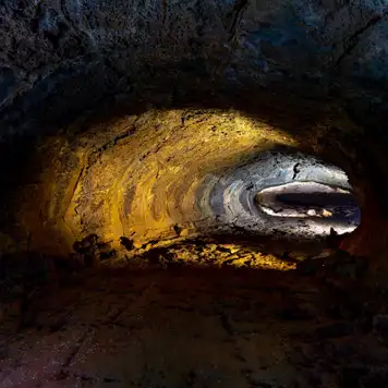 Image related to Highlands Tortoise Reserves