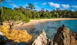 Image related to Eden