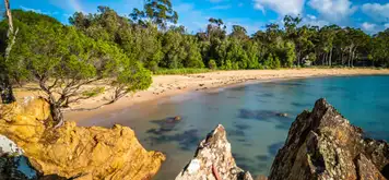 Image related to Eden