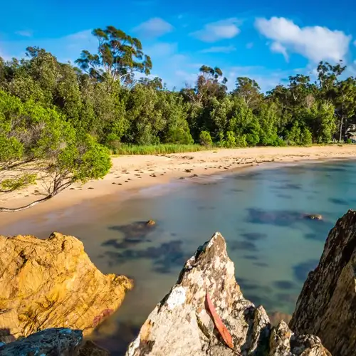 Image related to Eden