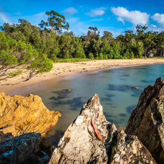 Image related to Eden