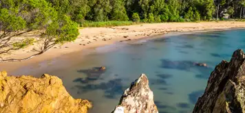Image related to Eden