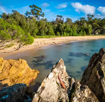 Image related to Eden