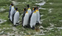 Image related to Yorke Bay