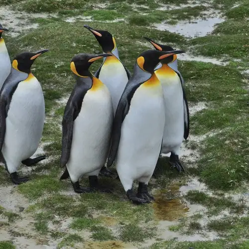 Image related to Yorke Bay