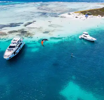 Image related to Marine Life & Snorkeling