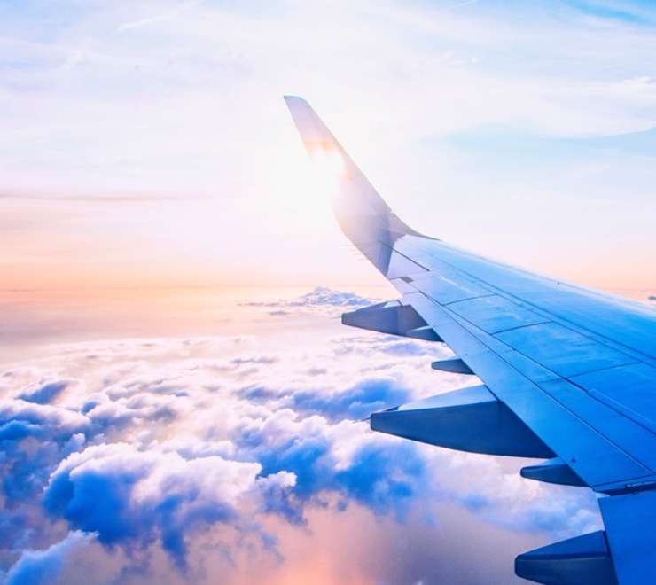 Fly from the UK