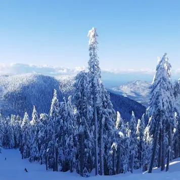 Image related to Cypress Mountain