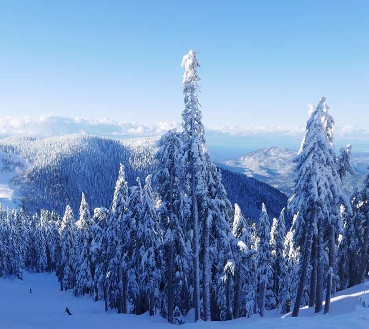 Cypress Mountain