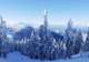 Cypress Mountain
