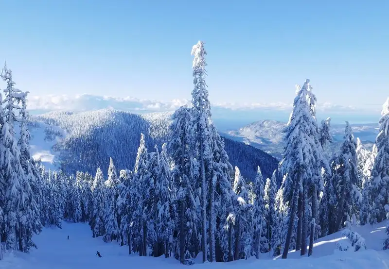 Cypress Mountain