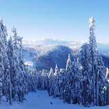Image related to Cypress Mountain