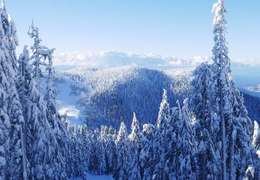 IgluCruise.Application.ViewModels.Shared.WebImageViewModel?.Description