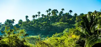 Image related to Jaragua National Park