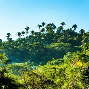 Image related to Jaragua National Park