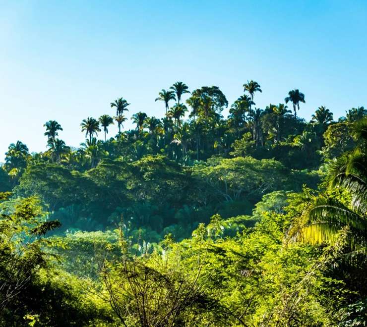 Jaragua National Park